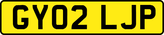 GY02LJP