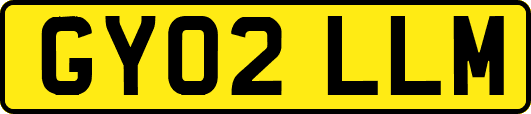 GY02LLM