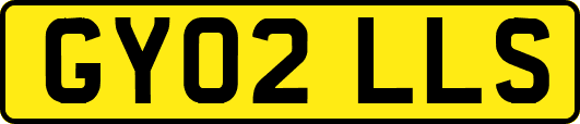 GY02LLS