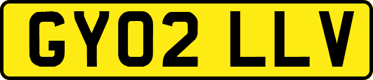 GY02LLV