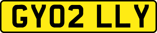 GY02LLY