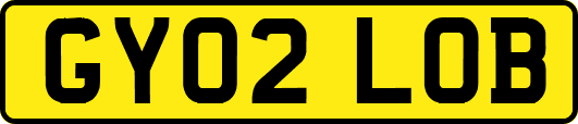 GY02LOB