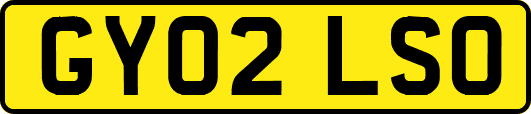 GY02LSO