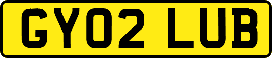 GY02LUB
