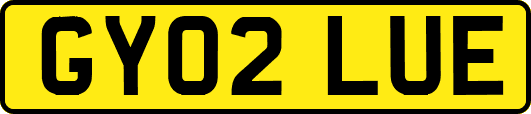 GY02LUE