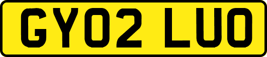 GY02LUO