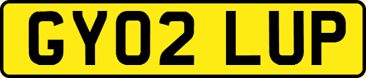 GY02LUP