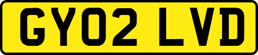 GY02LVD