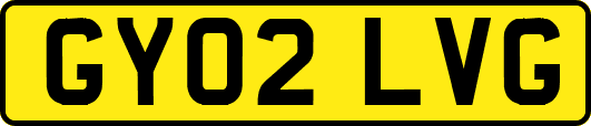 GY02LVG
