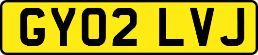 GY02LVJ