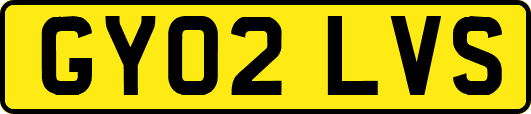 GY02LVS