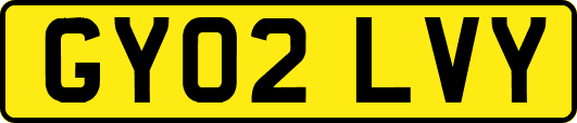 GY02LVY