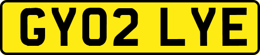 GY02LYE