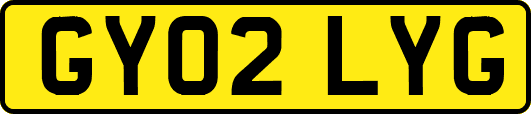GY02LYG