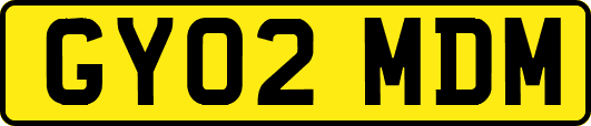 GY02MDM