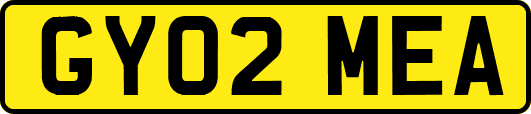 GY02MEA
