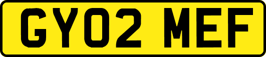 GY02MEF