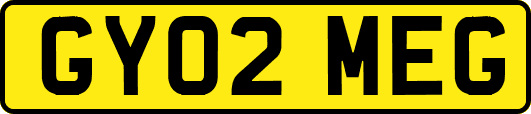 GY02MEG