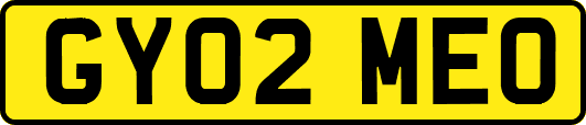 GY02MEO
