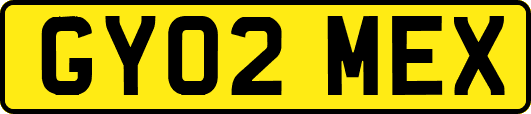 GY02MEX