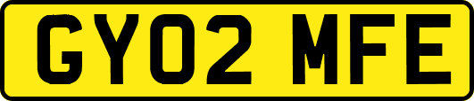 GY02MFE