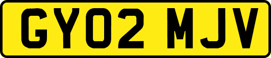 GY02MJV
