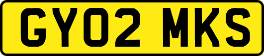 GY02MKS