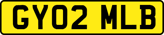 GY02MLB