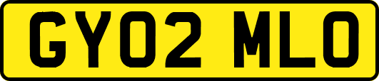 GY02MLO
