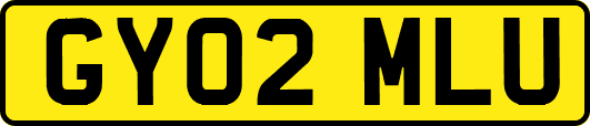 GY02MLU