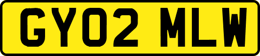 GY02MLW