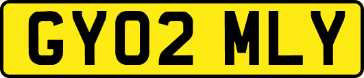 GY02MLY