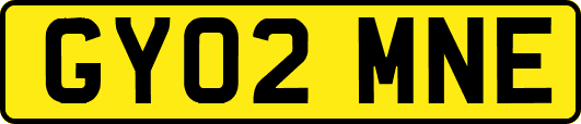 GY02MNE