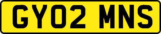 GY02MNS