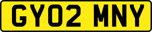 GY02MNY