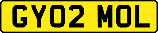GY02MOL