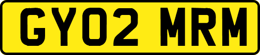 GY02MRM