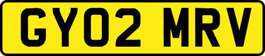 GY02MRV