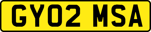 GY02MSA