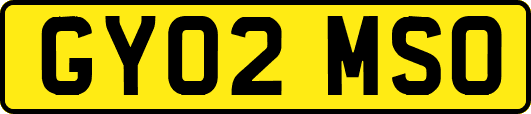 GY02MSO
