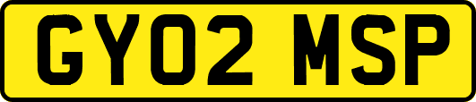 GY02MSP