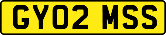 GY02MSS