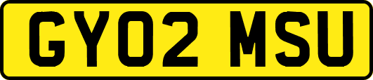 GY02MSU