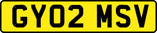 GY02MSV