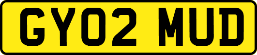 GY02MUD