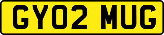 GY02MUG