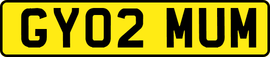 GY02MUM