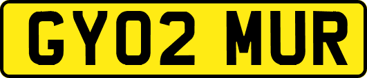 GY02MUR
