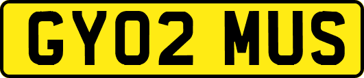 GY02MUS