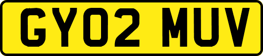 GY02MUV